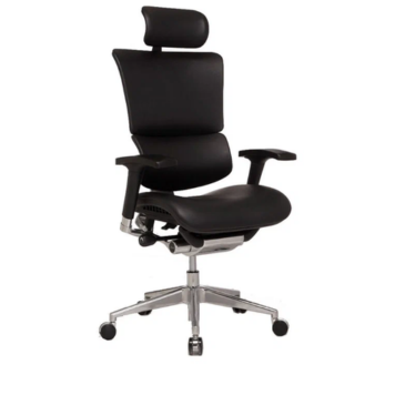 Model Robbin HB Executive Office Chair